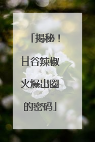 揭秘！甘谷辣椒火爆出圈的密码