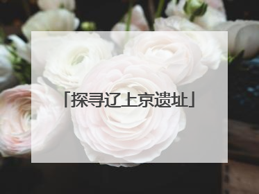 探寻辽上京遗址