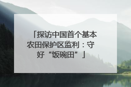 探访中国首个基本农田保护区监利：守好“饭碗田”