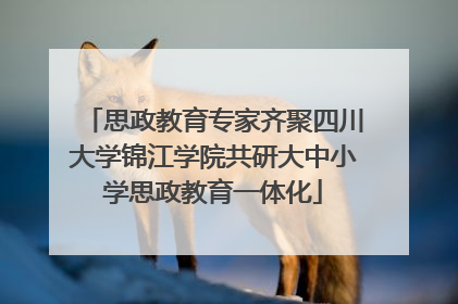 思政教育专家齐聚四川大学锦江学院共研大中小学思政教育一体化