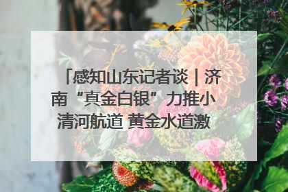 感知山东记者谈｜济南“真金白银”力推小清河航道 黄金水道激活区域经济新动能
