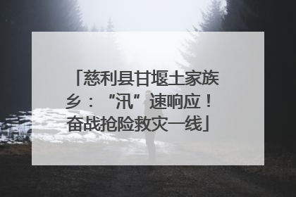 慈利县甘堰土家族乡：“汛”速响应！奋战抢险救灾一线