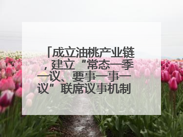 成立油桃产业链，建立“常态一季一议、要事一事一议”联席议事机制，山东省日照市莒县果庄镇——13个党小组“全周期”育果