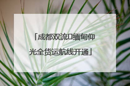 成都双流⇌缅甸仰光全货运航线开通
