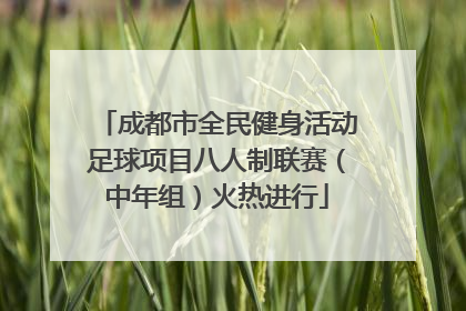 成都市全民健身活动足球项目八人制联赛（中年组）火热进行