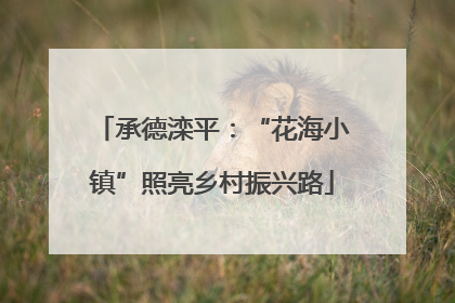 承德滦平：“花海小镇”照亮乡村振兴路
