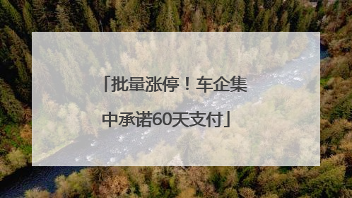 批量涨停！车企集中承诺60天支付