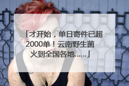才开始，单日寄件已超2000单！云南野生菌火到全国各地……
