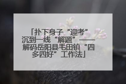 扑下身子“迎考” 沉到一线“解题”——解码岳阳县毛田镇“四多四好”工作法
