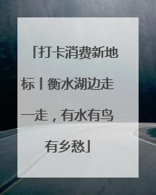 打卡消费新地标丨衡水湖边走一走，有水有鸟有乡愁