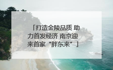 打造金陵品质 助力首发经济 南京迎来首家“胖东来”