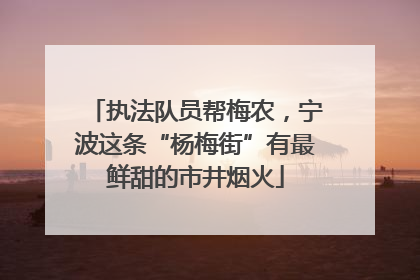 执法队员帮梅农，宁波这条“杨梅街”有最鲜甜的市井烟火