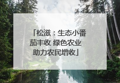 松滋：生态小番茄丰收 绿色农业助力农民增收