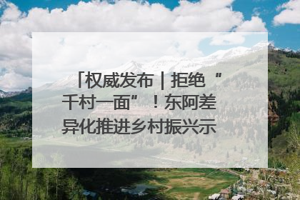 权威发布｜拒绝“千村一面”！东阿差异化推进乡村振兴示范片区建设