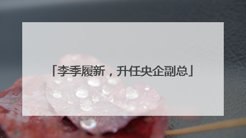 李季履新，升任央企副总