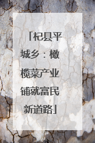 杞县平城乡：橄榄菜产业铺就富民新道路