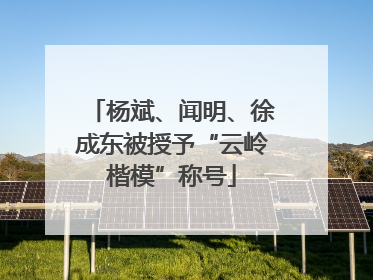 杨斌、闻明、徐成东被授予“云岭楷模”称号