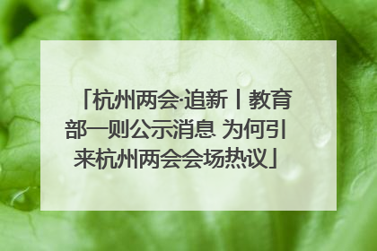 杭州两会·追新丨教育部一则公示消息 为何引来杭州两会会场热议