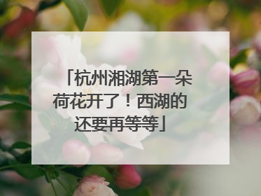 杭州湘湖第一朵荷花开了！西湖的还要再等等