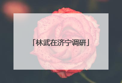 林武在济宁调研