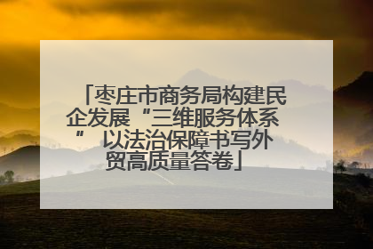 枣庄市商务局构建民企发展“三维服务体系” 以法治保障书写外贸高质量答卷