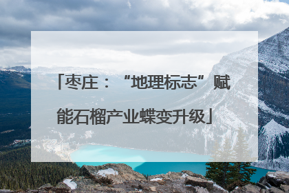 枣庄：“地理标志”赋能石榴产业蝶变升级