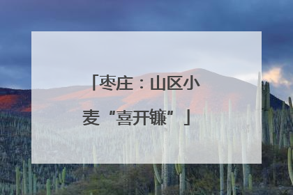 枣庄：山区小麦“喜开镰”