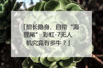 擅长隐身、自带“海狸尾” 彩虹-7无人机究竟有多牛？