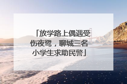 放学路上偶遇受伤夜鹭，聊城三名小学生求助民警