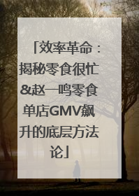 效率革命：揭秘零食很忙&赵一鸣零食单店GMV飙升的底层方法论