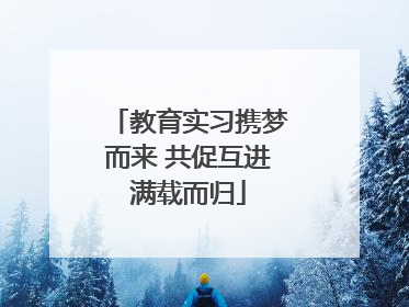 教育实习携梦而来 共促互进满载而归