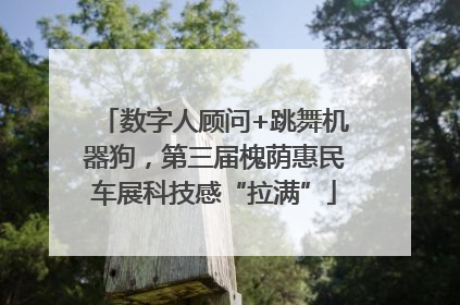 数字人顾问+跳舞机器狗，第三届槐荫惠民车展科技感“拉满”