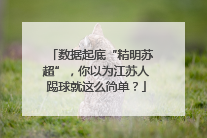 数据起底“精明苏超”，你以为江苏人踢球就这么简单？