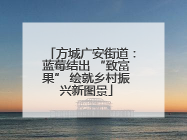 方城广安街道：蓝莓结出 “致富果” 绘就乡村振兴新图景