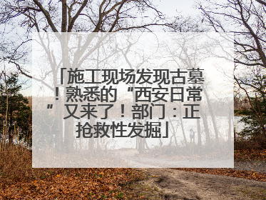 施工现场发现古墓！熟悉的“西安日常”又来了！部门：正抢救性发掘