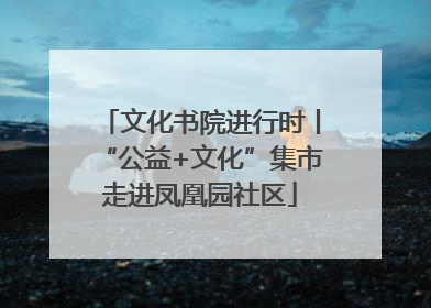 文化书院进行时丨“公益+文化”集市走进凤凰园社区