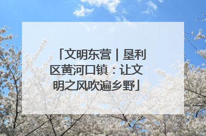 文明东营｜垦利区黄河口镇：让文明之风吹遍乡野