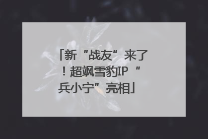 新“战友”来了！超飒雪豹IP“兵小宁”亮相