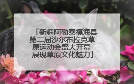 新疆阿勒泰福海县第二届沙尔布拉克草原运动会盛大开幕 展现草原文化魅力