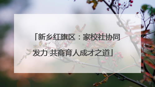 新乡红旗区：家校社协同发力 共商育人成才之道