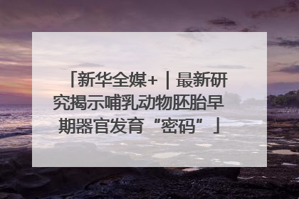 新华全媒+｜最新研究揭示哺乳动物胚胎早期器官发育“密码”