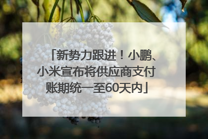 新势力跟进！小鹏、小米宣布将供应商支付账期统一至60天内
