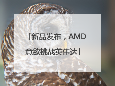 新品发布，AMD意欲挑战英伟达