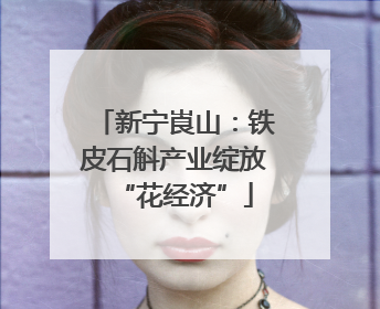 新宁崀山：铁皮石斛产业绽放“花经济”