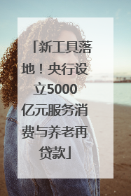 新工具落地！央行设立5000亿元服务消费与养老再贷款