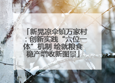 新晃凉伞镇万家村：创新实践“六位一体”机制 绘就粮食稳产增收新图景