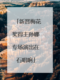 新晋梅花奖得主孙娜专场演出在石唱响