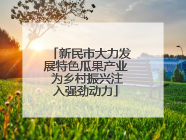 新民市大力发展特色瓜果产业 为乡村振兴注入强劲动力