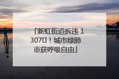 新虹街道拆违 1307㎡！城市绿肺重获呼吸自由