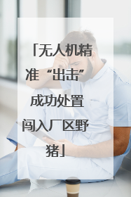 无人机精准“出击” 成功处置闯入厂区野猪